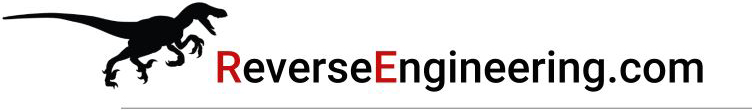 Reverse Engineering Logo