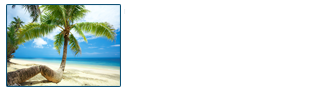 Tours on Horseback, Logo
